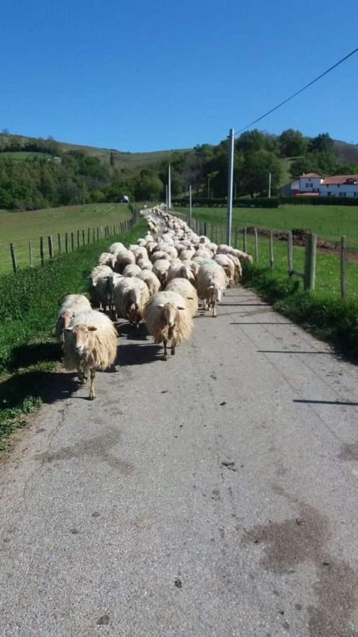 Gite A La Ferme Larranda Suhescun Екстериор снимка