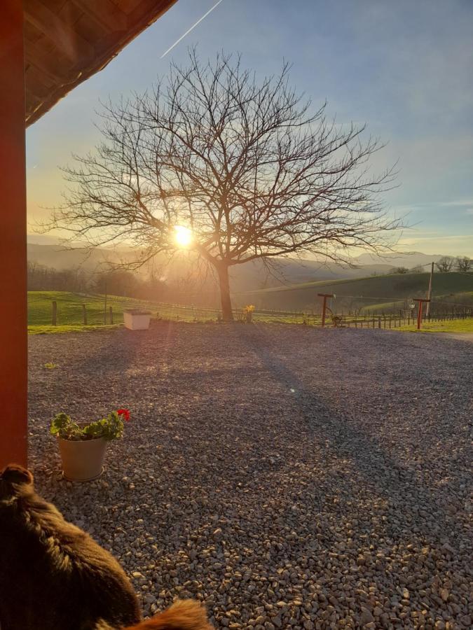 Gite A La Ferme Larranda Suhescun Екстериор снимка